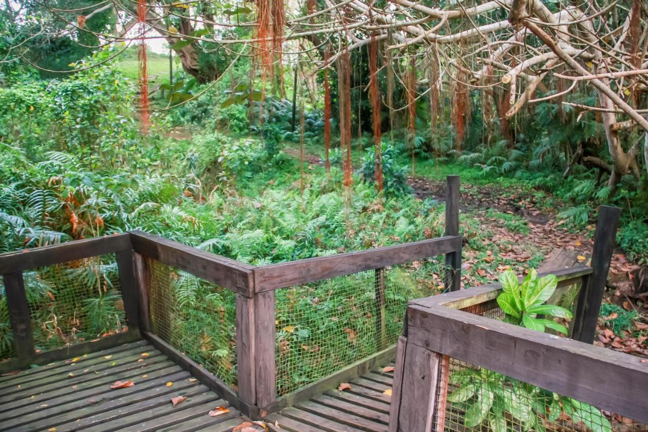 18 The Bridge, St Lucia Apartment Bagian luar foto